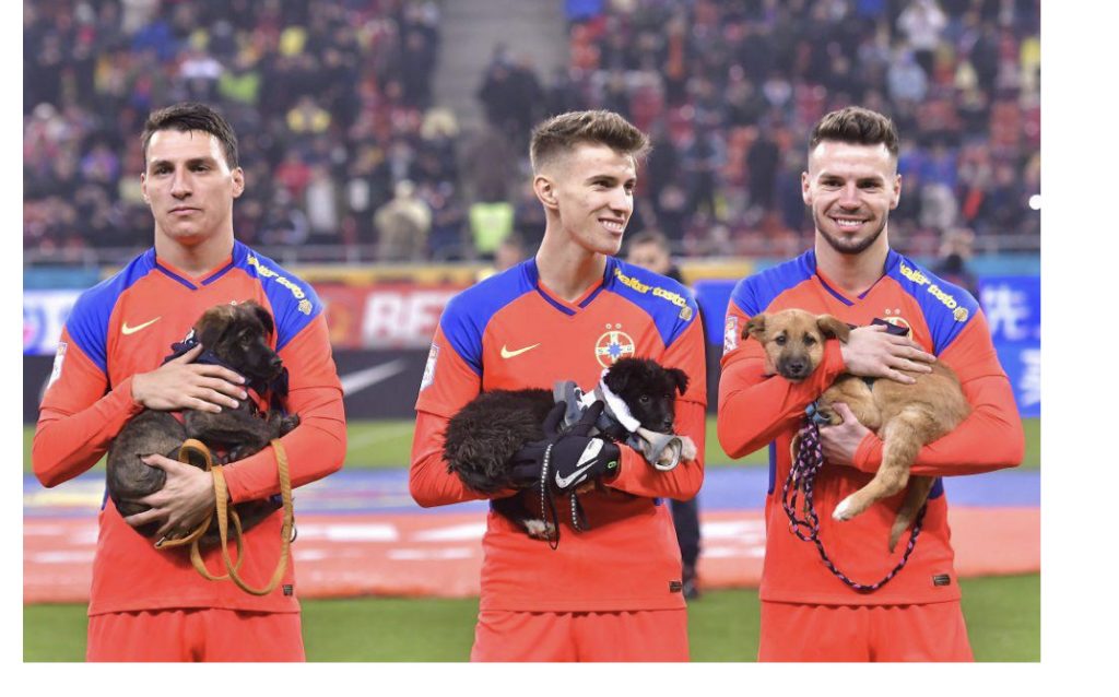 Fotbaliștii din Superliga schimbă viețile iubitorilor de animale / CJ Ilfov și LPF, campanie emoționantă