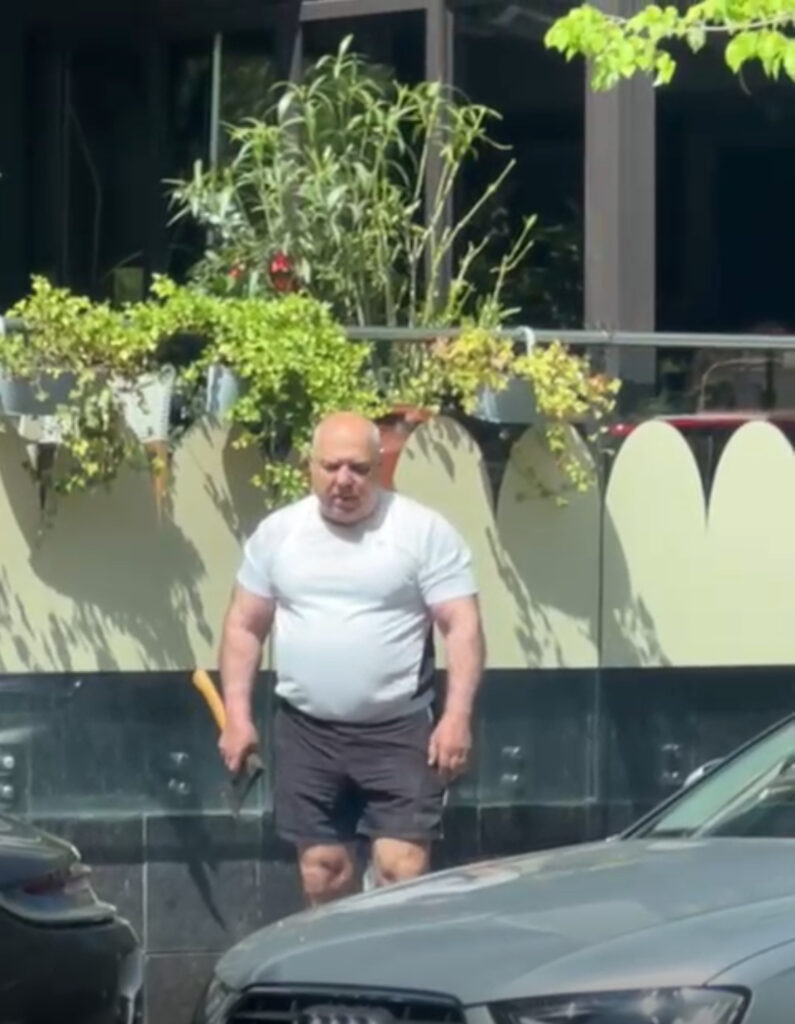 Cu toporul în ghiveci: senatorul Marinescu face ordine în flora urbană
