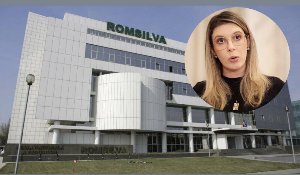 Lovitură de topor la Romsilva: 90% dintre directori demiși. Ministrul Mediului reduce drastic direcțiile silvice din țară